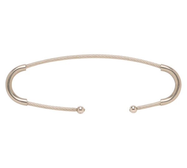 Black Diamond BD Adjustable Tip Loop Cable