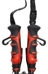 Isvidda Jäänaskalit