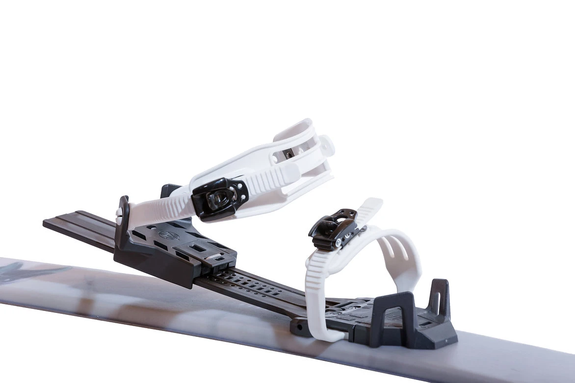 OAC EA Binding 2.0 MetsÀhiihtoside - Image 2